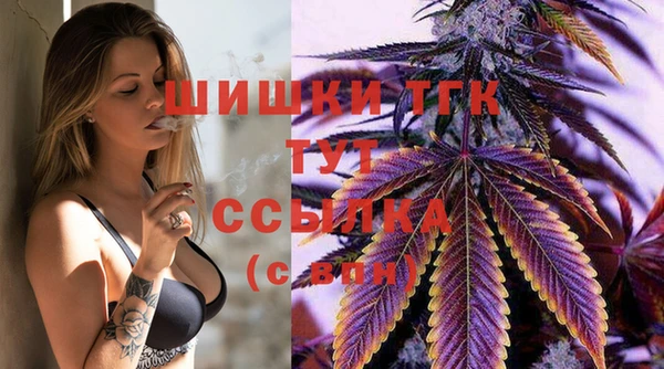 индика Балабаново