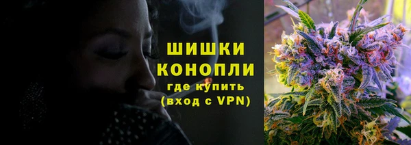индика Балабаново