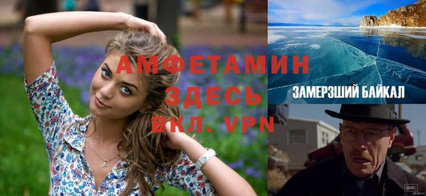 индика Балабаново