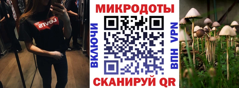 Псилоцибиновые грибы Cubensis  Куровское 